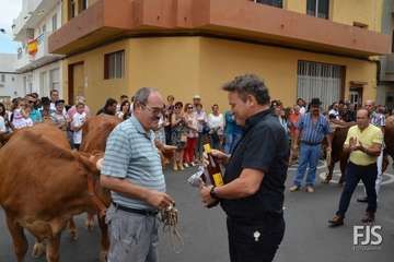 Misa, desfile del ganado y procesión religiosa en el Valle de los Nueve de Telde (Foto Francisco Javier Santana)